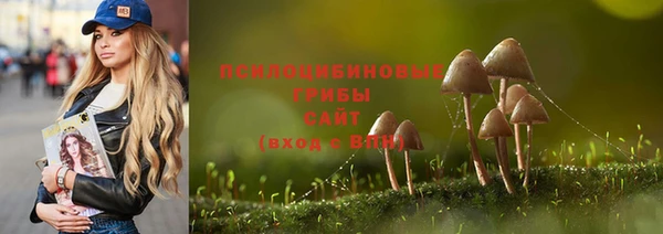 МДМА Медногорск