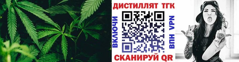 наркотики  Щучье  блэк спрут сайт  сайты даркнета состав  Дистиллят ТГК THC oil 