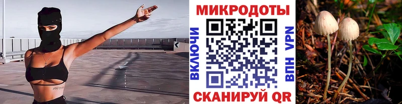 Галлюциногенные грибы Psilocybe  Щучье 